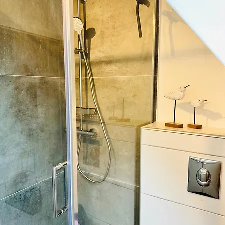 Kleine Möwe - Kleines Nest